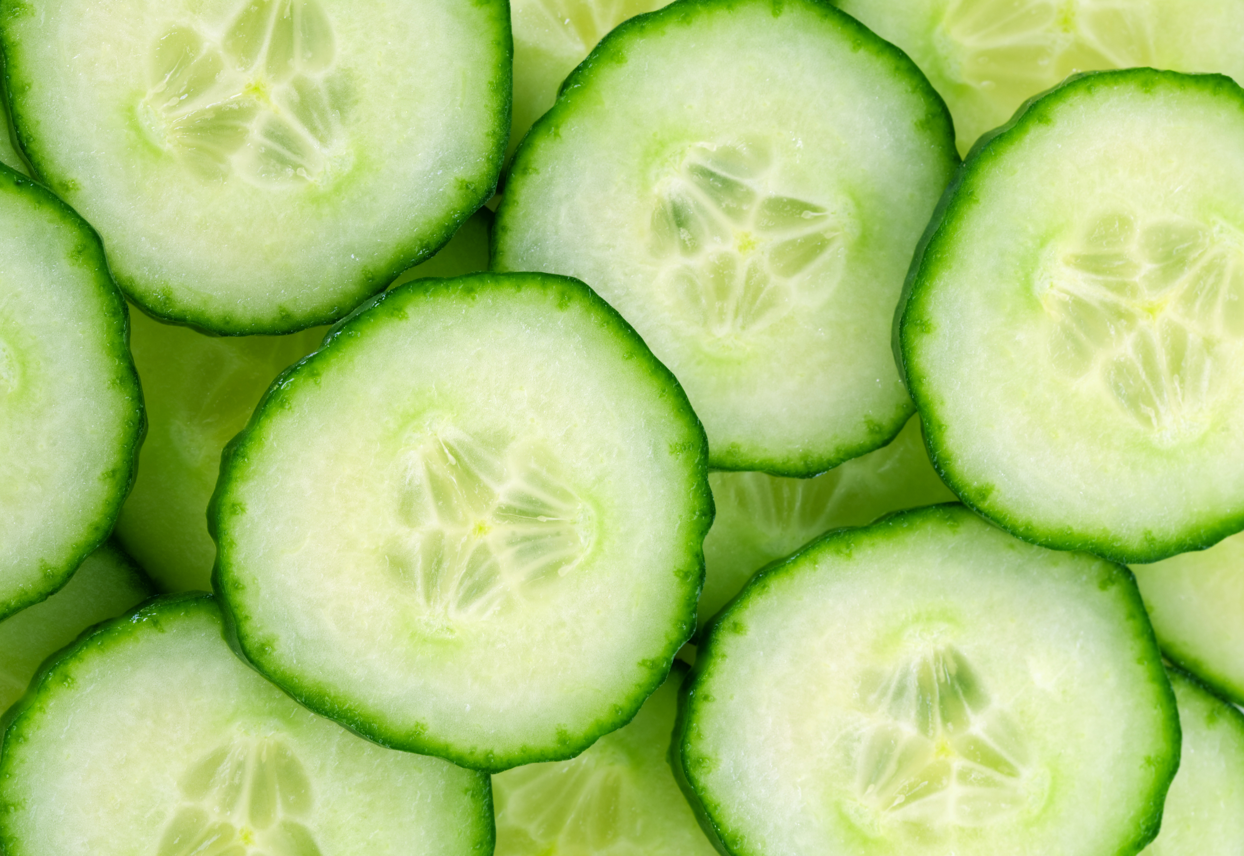 Amazing Cucumber Pictures & Backgrounds