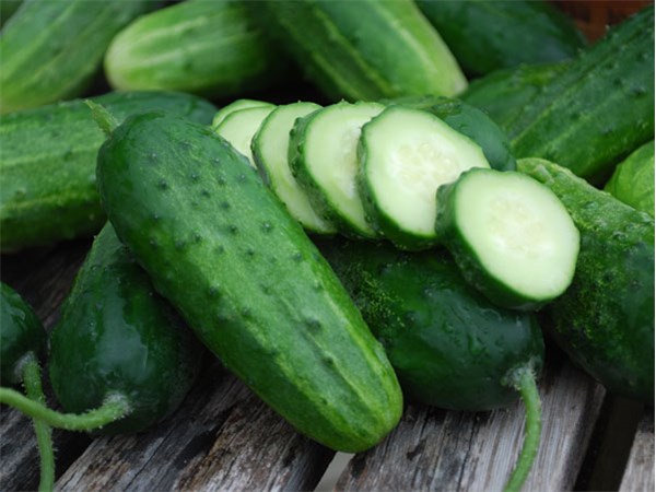 600x450 > Cucumber Wallpapers
