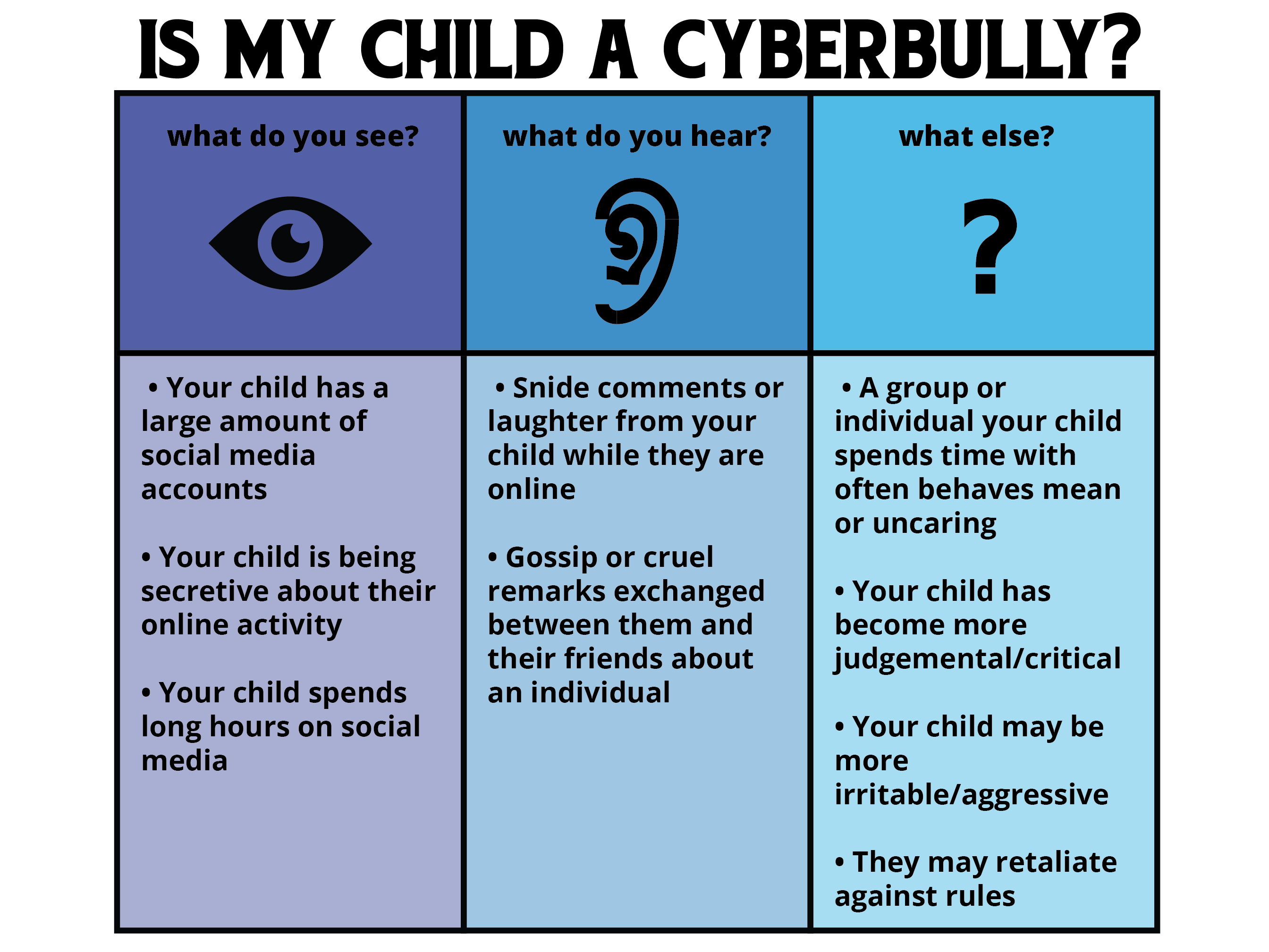 Cyberbully #3