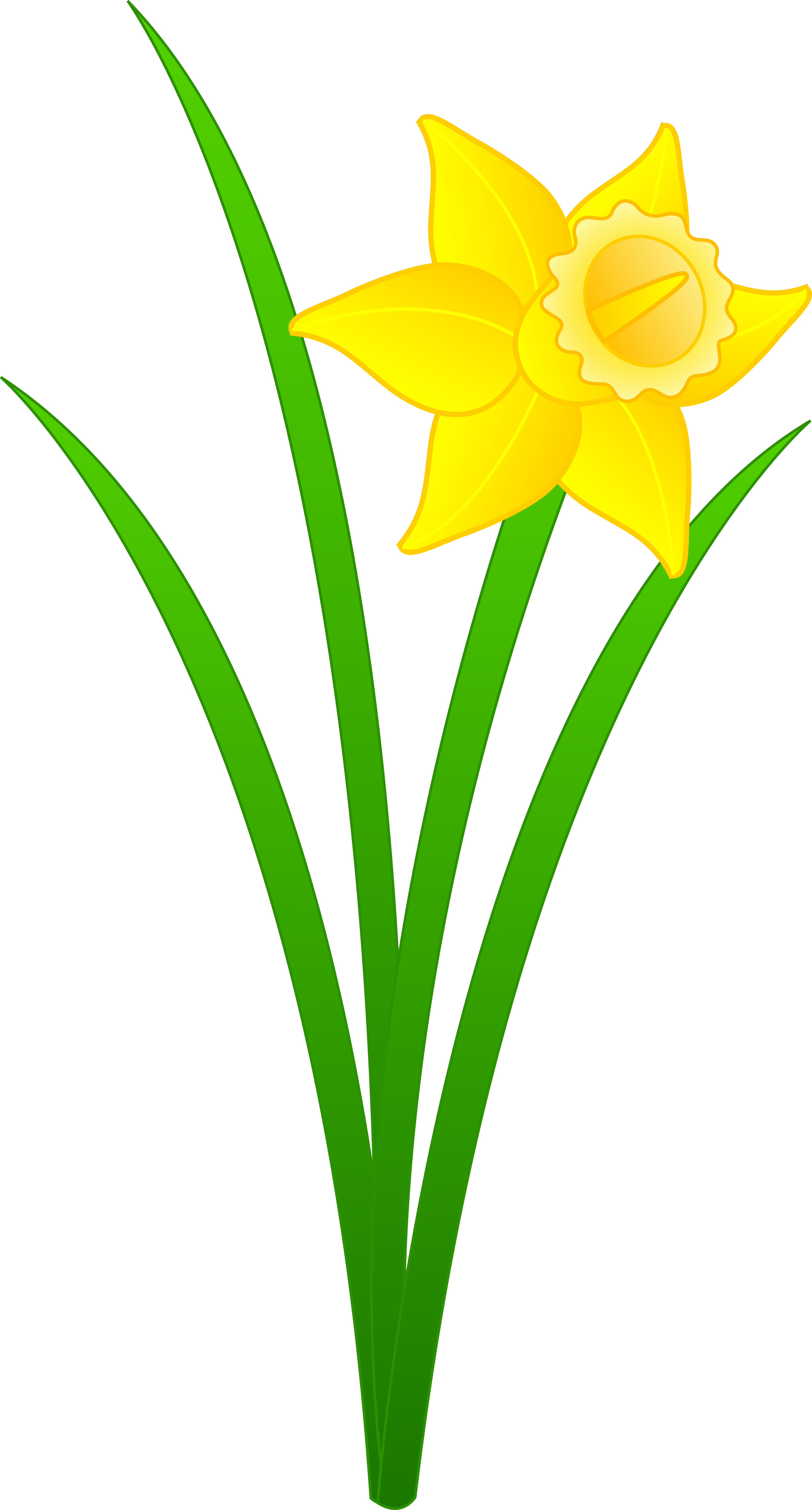 HQ Daffodil Wallpapers | File 1535.81Kb
