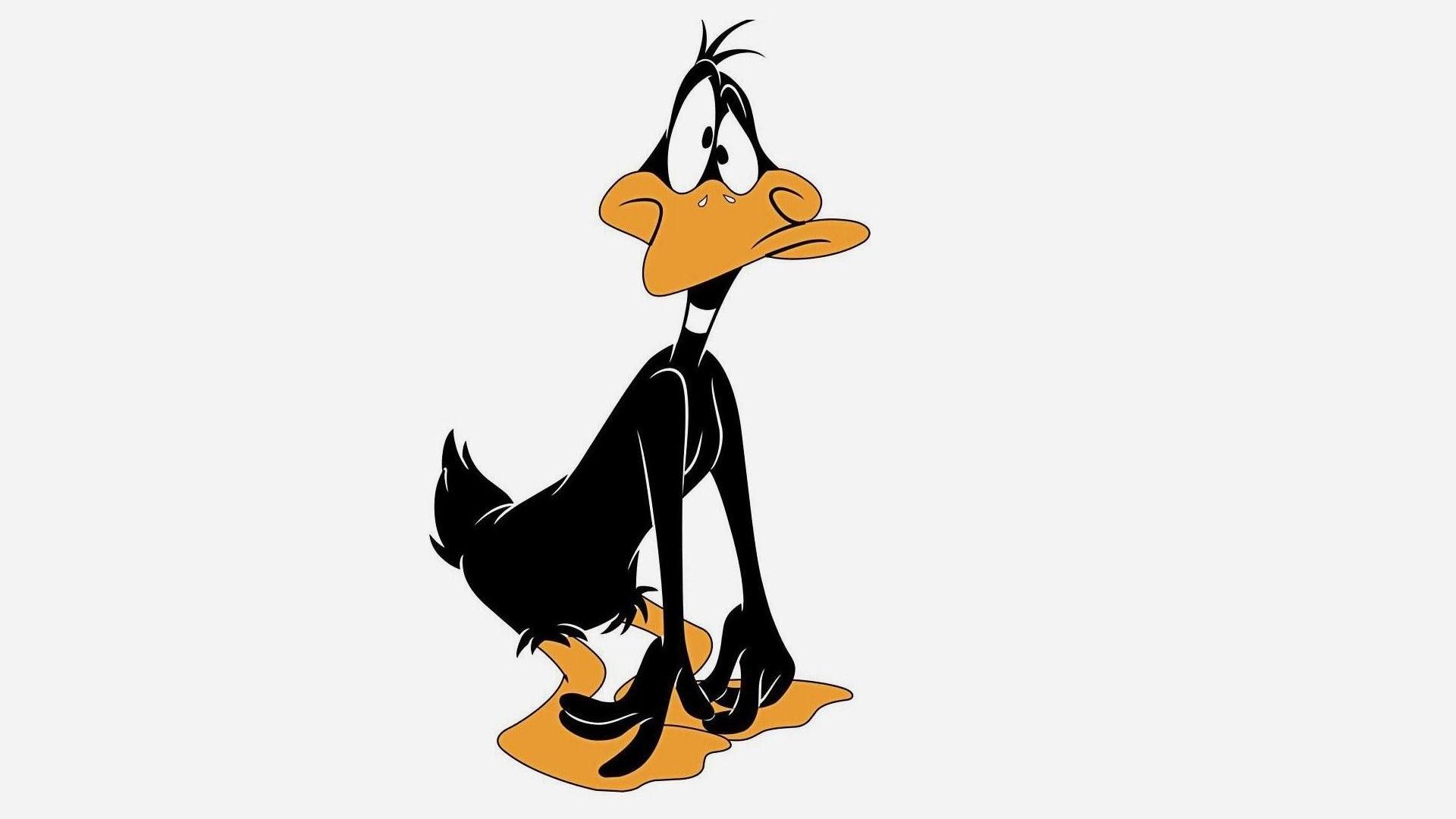 Daffy Duck wallpapers, Cartoon, HQ Daffy Duck pictures 4K Wallpapers 2019.
