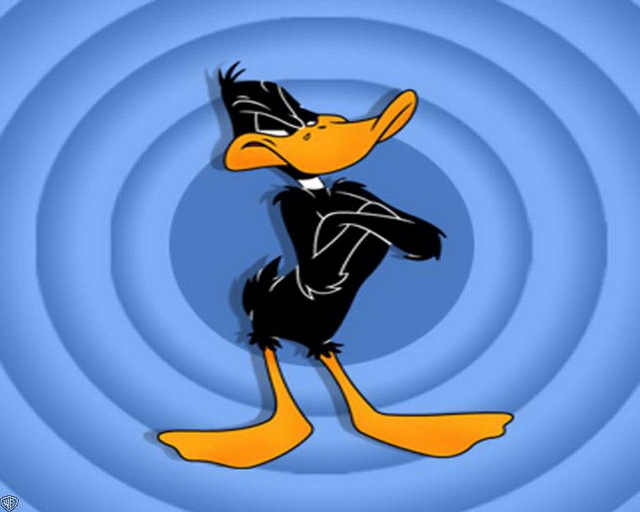 Daffy Duck Backgrounds, Compatible - PC, Mobile, Gadgets| 1280x1024 px