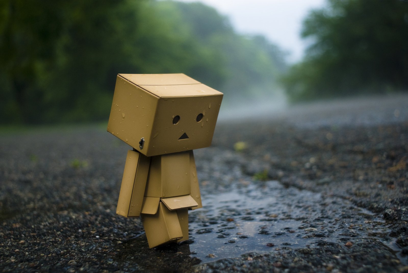 Nice Images Collection: Danbo Desktop Wallpapers