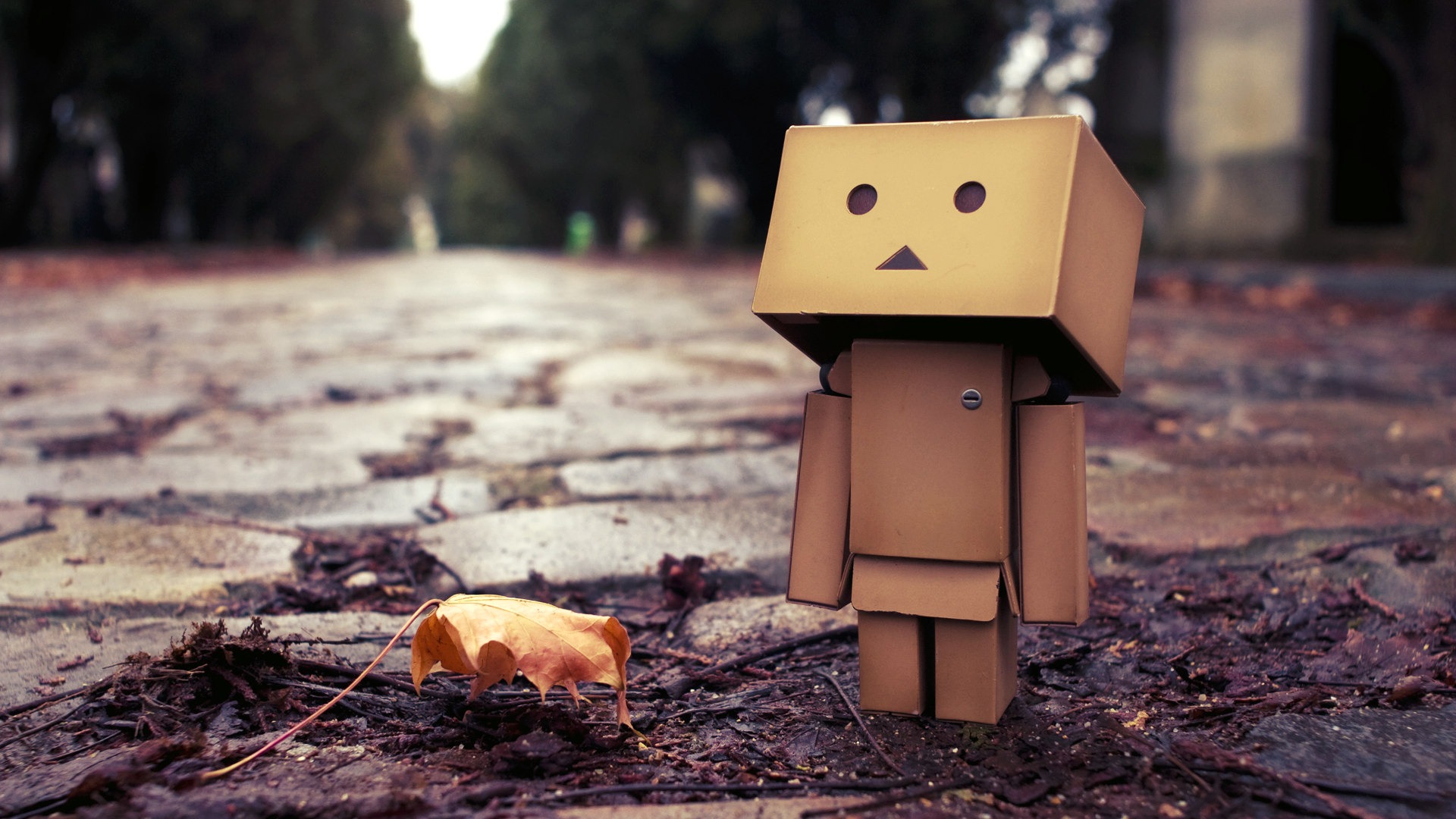 Images of Danbo | 1920x1080