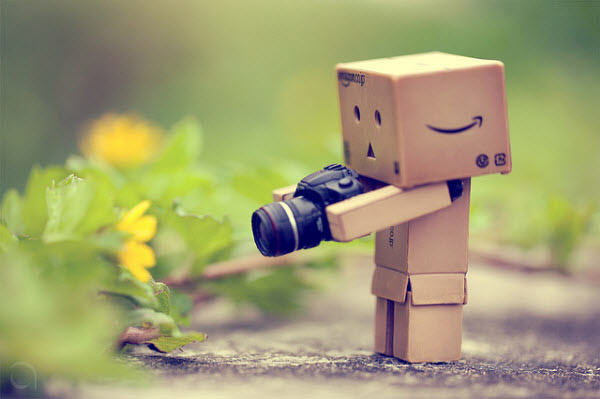 Danbo Pics, Misc Collection