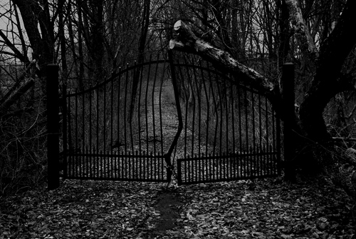Images of Dark Gates | 500x335