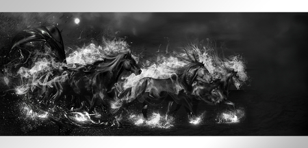 Dark Horses Backgrounds on Wallpapers Vista