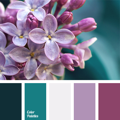 Images of Dark Turquoise Purple | 400x400