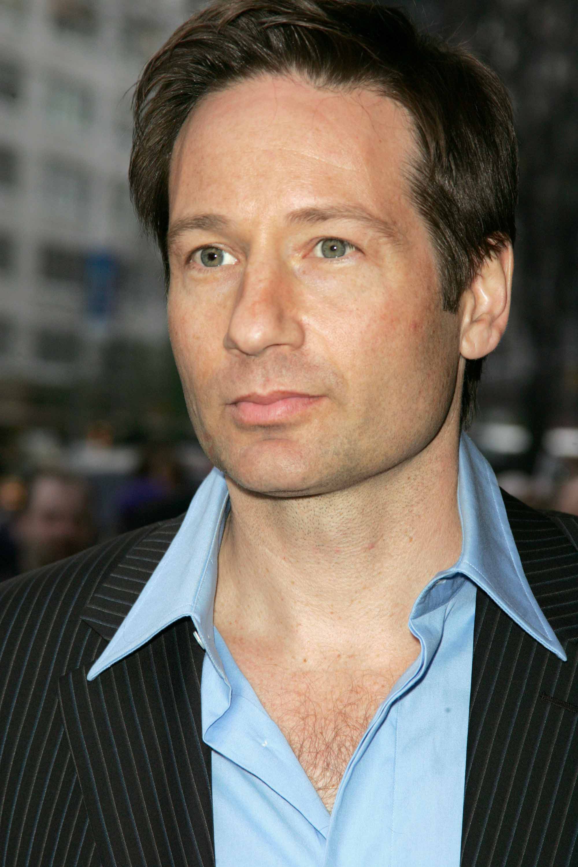 Nice Images Collection: David Duchovny Desktop Wallpapers
