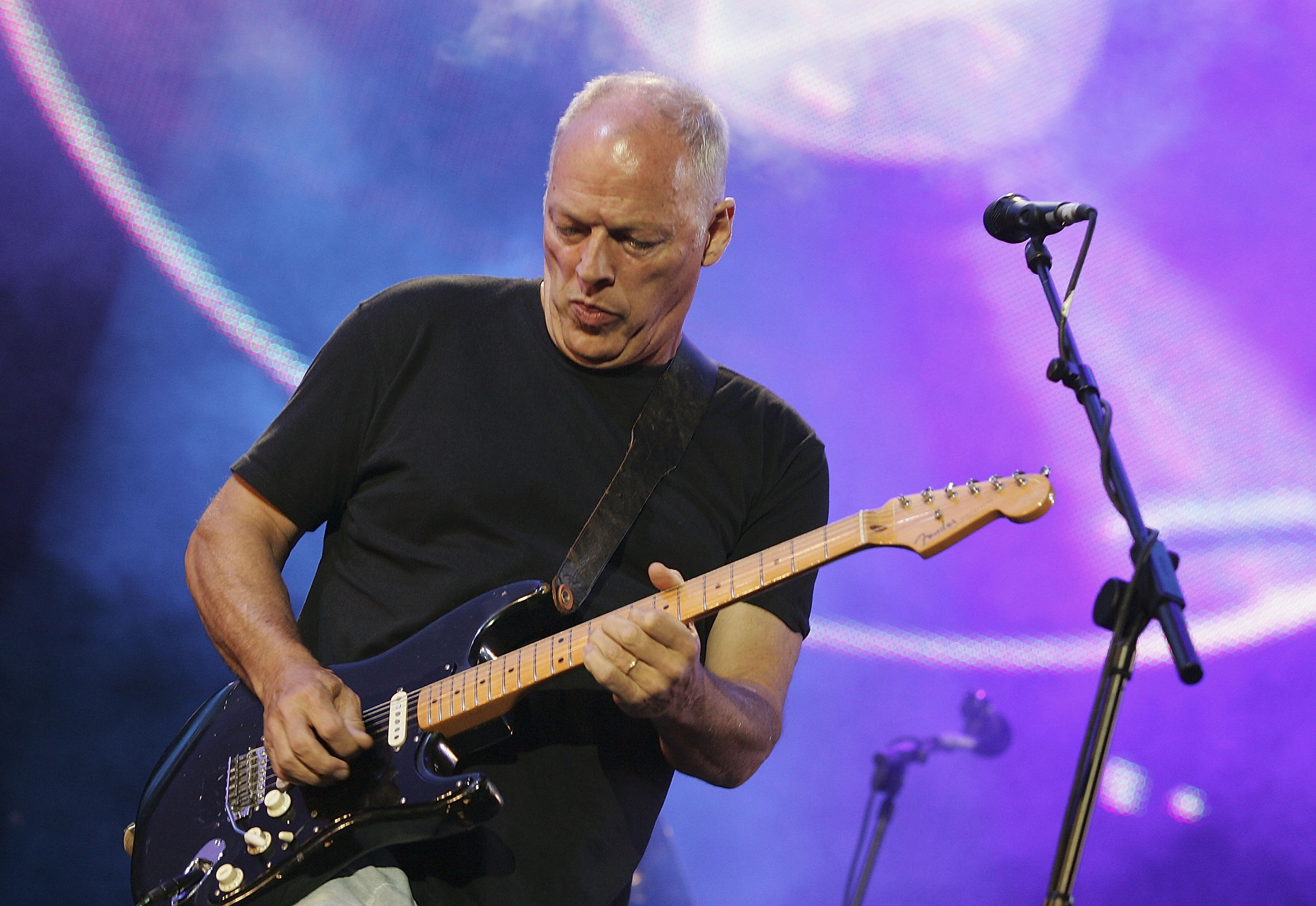 David Gilmour #5