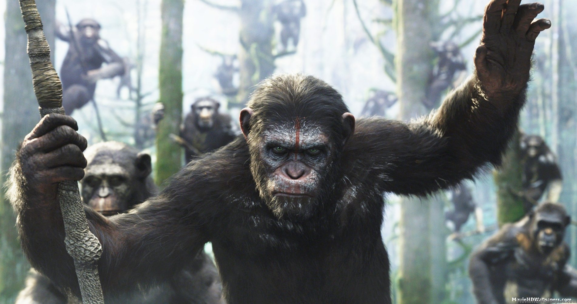 Dawn Of The Planet Of The Apes Backgrounds, Compatible - PC, Mobile, Gadgets| 1902x1003 px