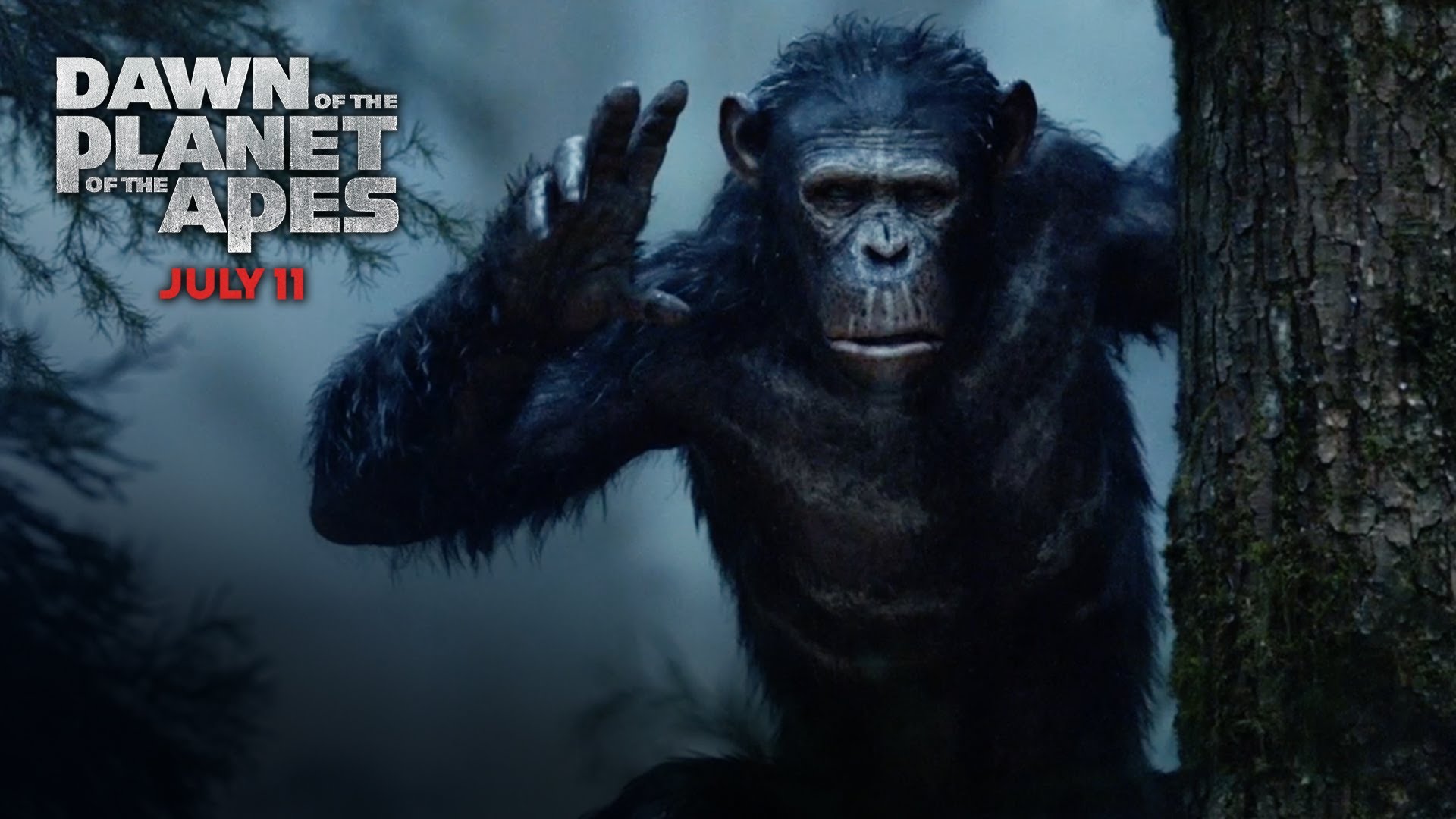 Dawn Of The Planet Of The Apes #3