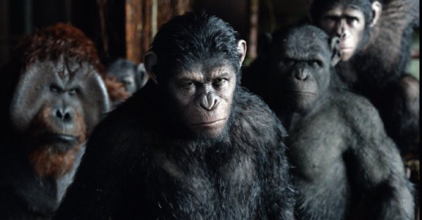 Dawn Of The Planet Of The Apes Backgrounds, Compatible - PC, Mobile, Gadgets| 600x313 px