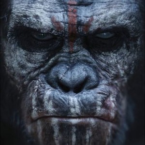 Dawn Of The Planet Of The Apes #22