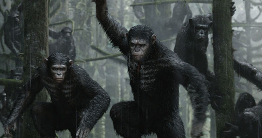 Dawn Of The Planet Of The Apes #21