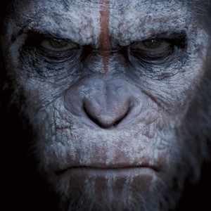 HD Quality Wallpaper | Collection: Movie, 300x300 Dawn Of The Planet Of The Apes