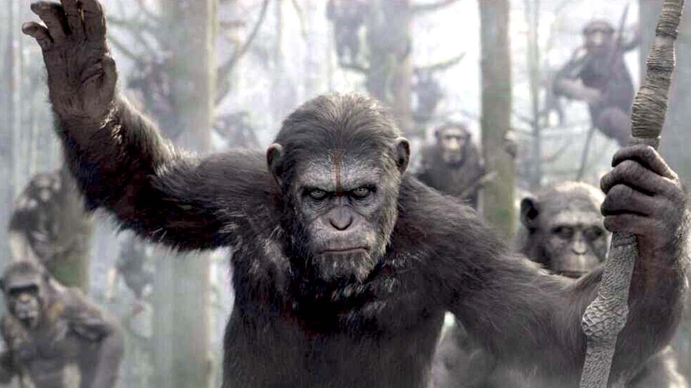 Nice wallpapers Dawn Of The Planet Of The Apes 1350x759px