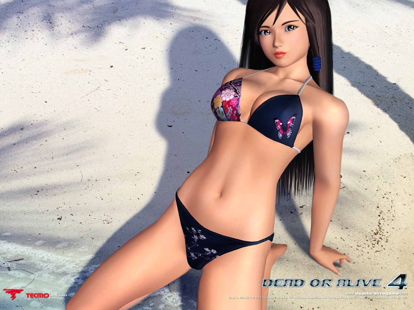Nice wallpapers Dead Or Alive 4 1365x1024px