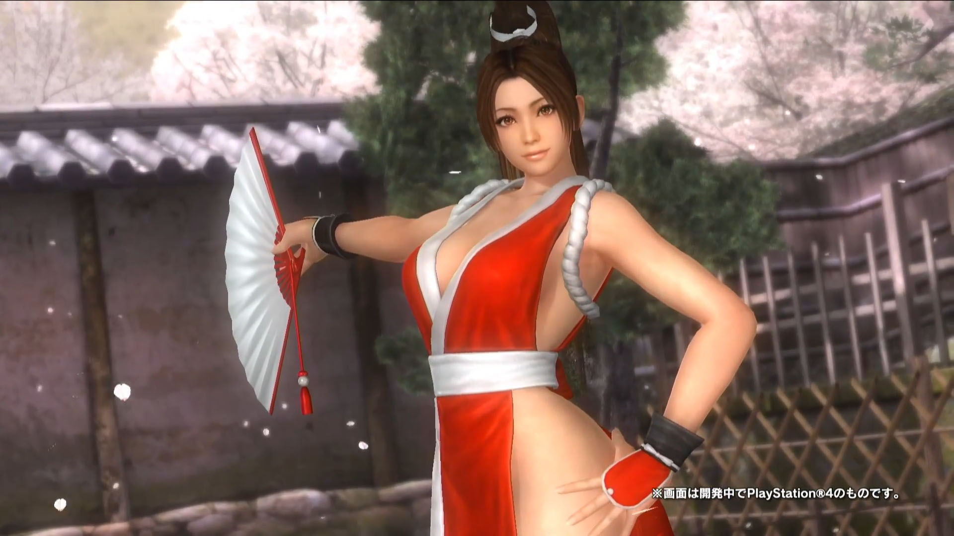 Dead Or Alive 5 #17