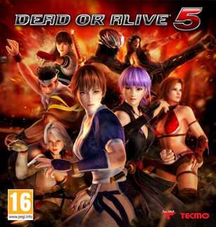 Nice wallpapers Dead Or Alive 5 308x324px