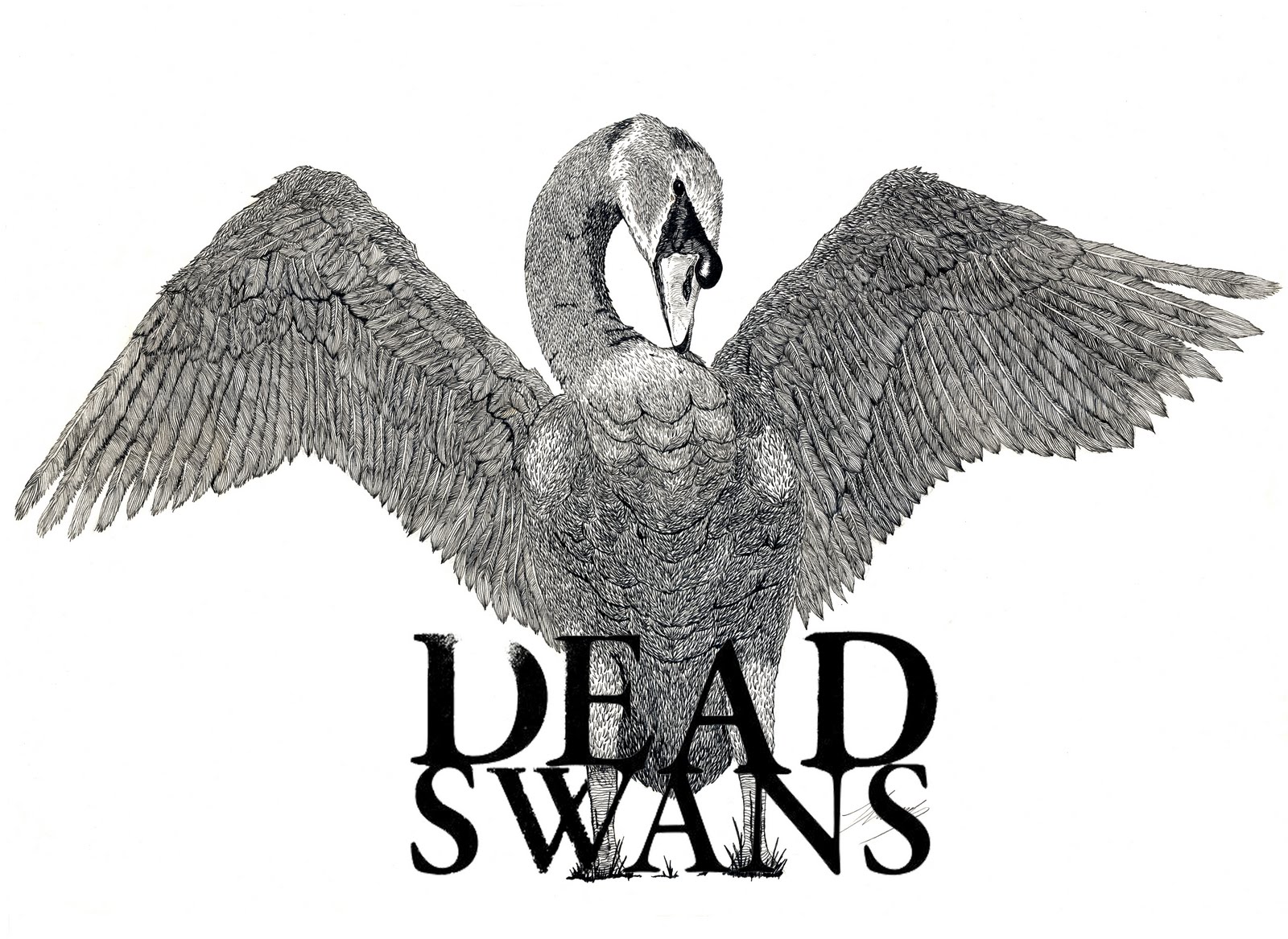 High Resolution Wallpaper | Dead Swans 1600x1167 px