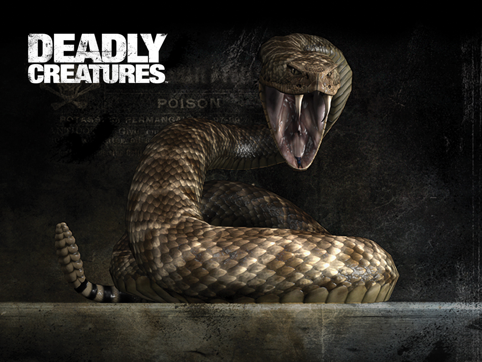 Deadly Creatures HD wallpapers, Desktop wallpaper - most viewed
