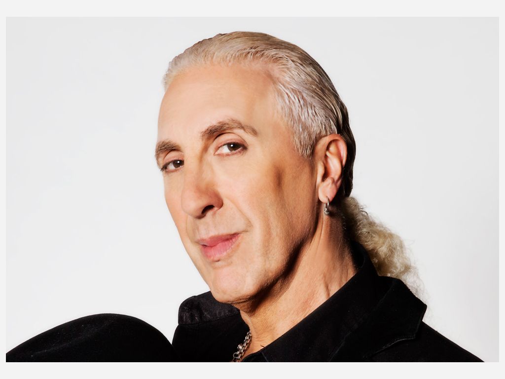 Nice wallpapers Dee Snider 1024x768px