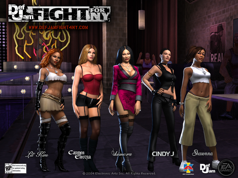 Nice wallpapers Def Jam: Fight For NY 800x600px