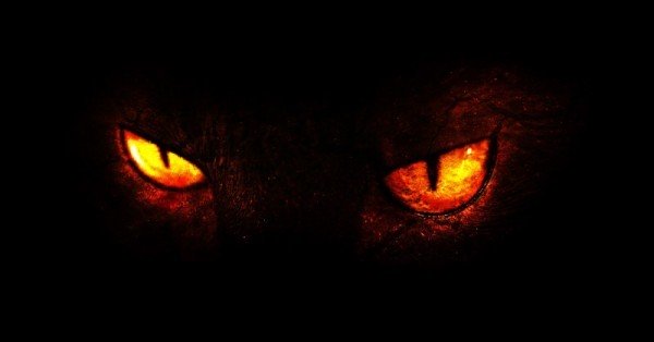 Images of Demon | 600x314