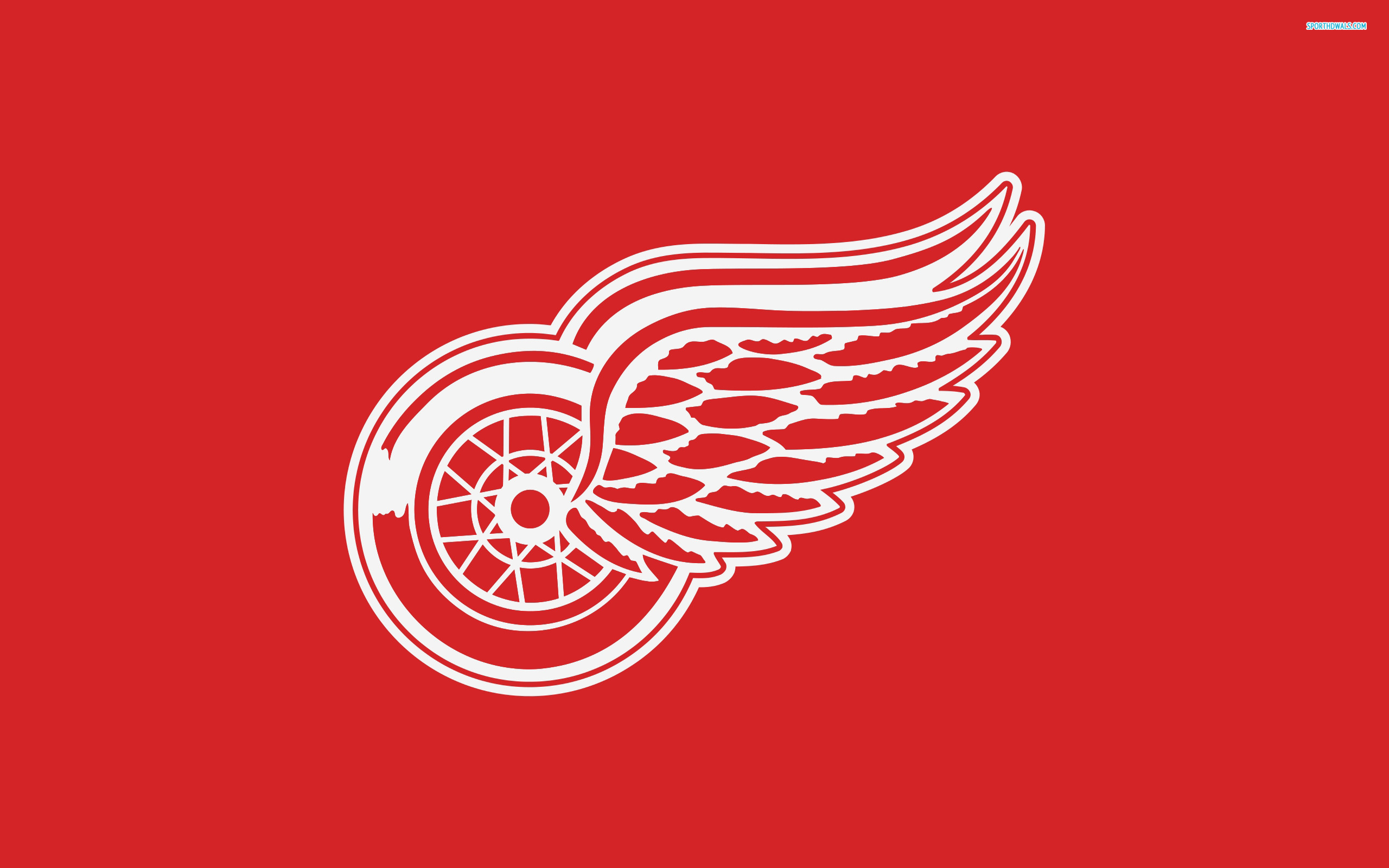 Detroit Red Wings Backgrounds, Compatible - PC, Mobile, Gadgets| 2560x1600 px