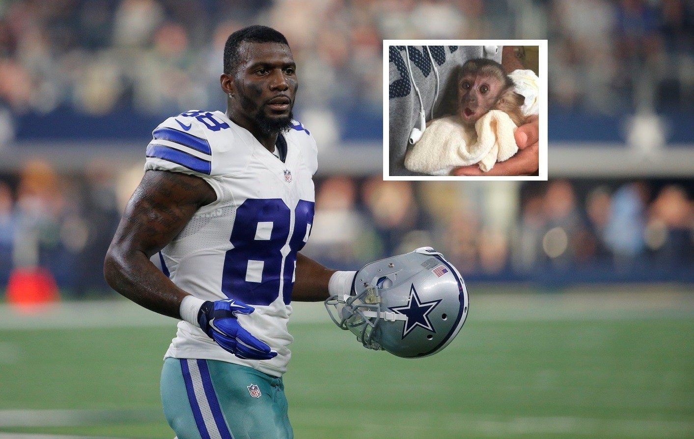 Dez Bryant High Quality Background on Wallpapers Vista