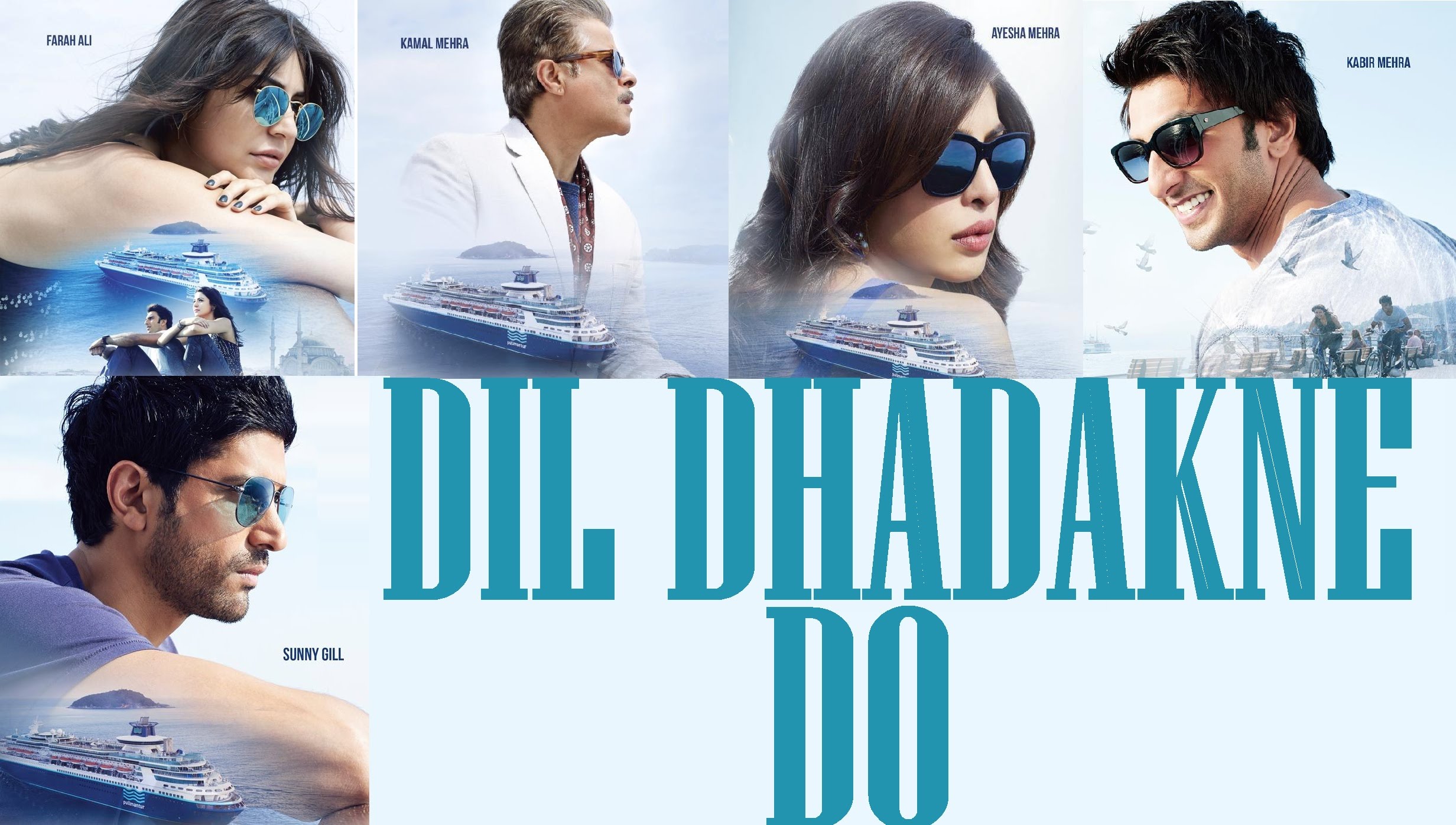 Dil Dhadakne Do Pics, Movie Collection