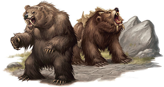 Dire Bear Backgrounds on Wallpapers Vista