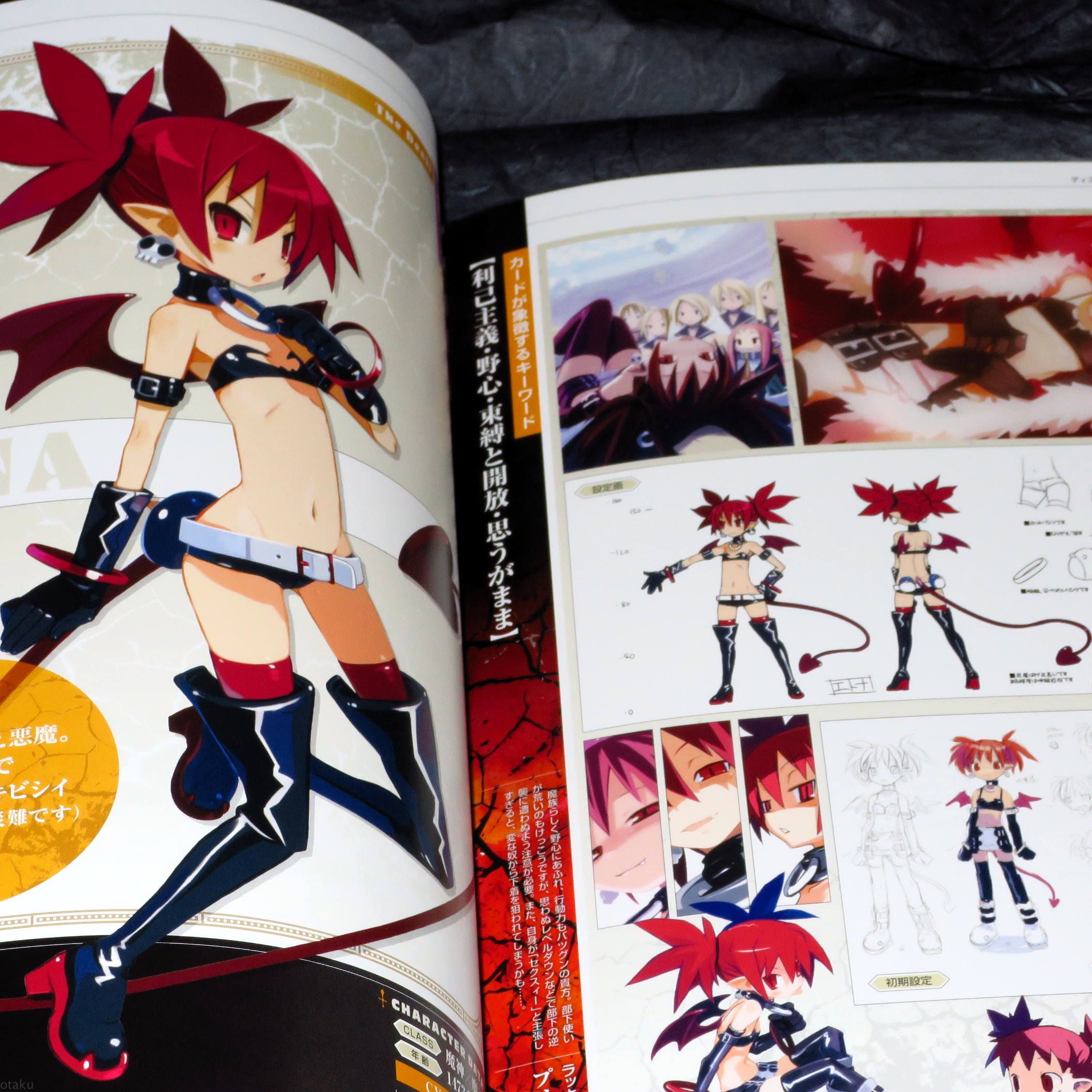 Disgaea: Hour Of Darkness Pics, Video Game Collection