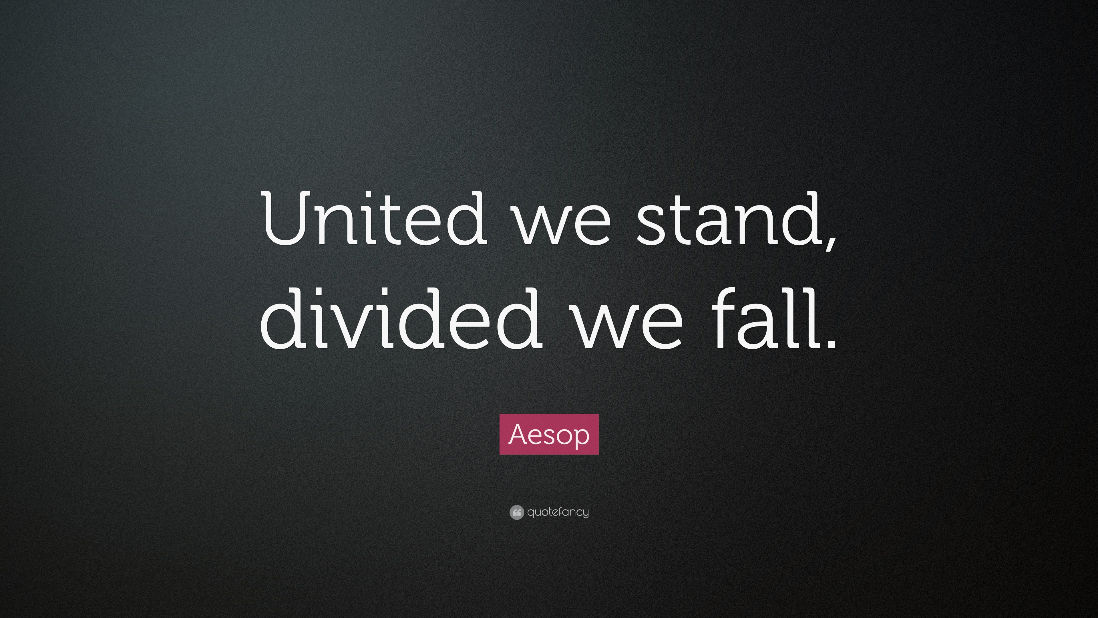 Divided We Fall #22