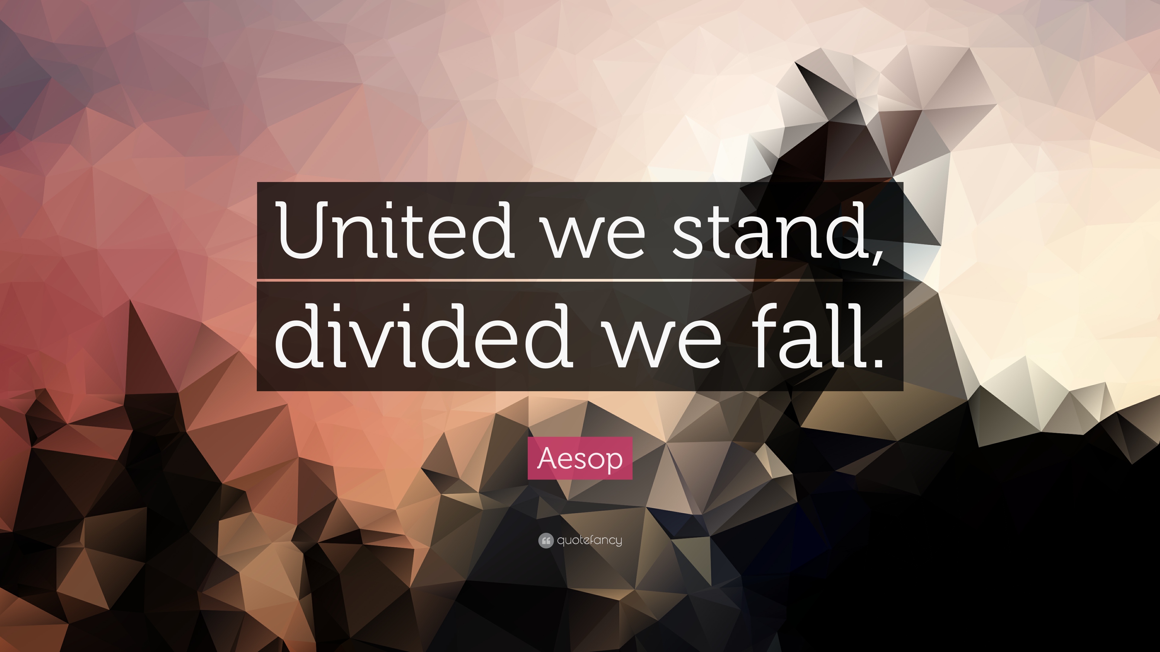 Divided We Fall #24