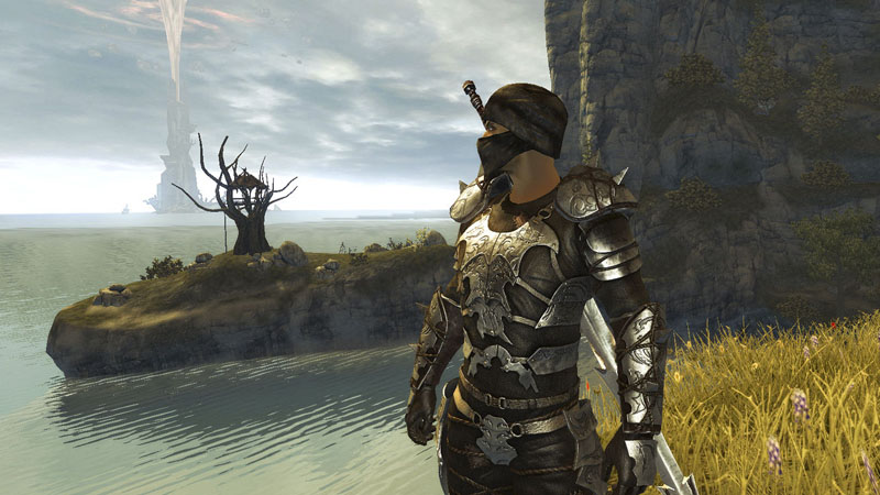 Divinity II: Ego Draconis Backgrounds, Compatible - PC, Mobile, Gadgets| 800x450 px