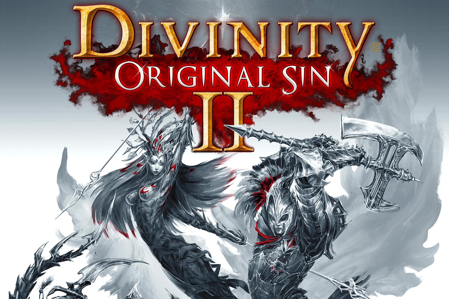 Divinity: Original Sin II #12