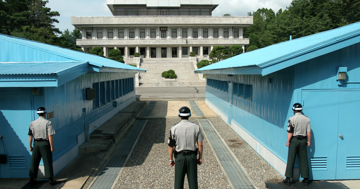 DMZ #16