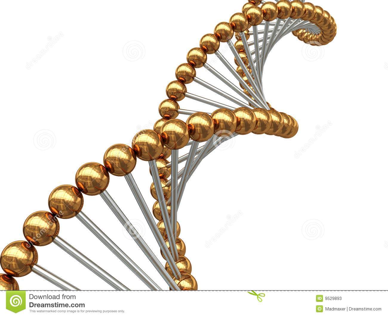 High Resolution Wallpaper | DNA Structure 1300x1065 px