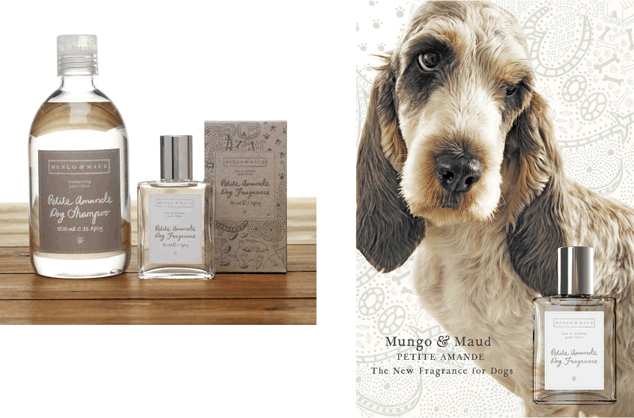 HD Quality Wallpaper | Collection: Humor, 1266x835 Dog Prefume