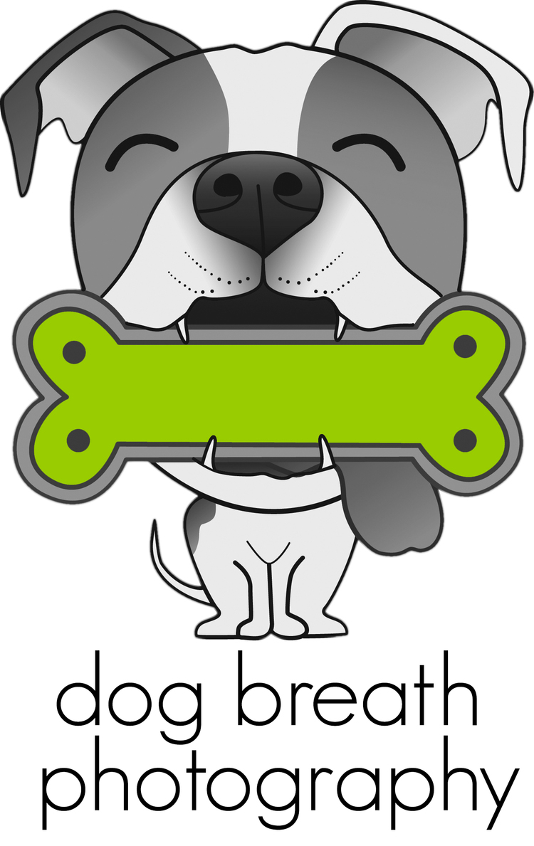 Dogbreath Backgrounds on Wallpapers Vista