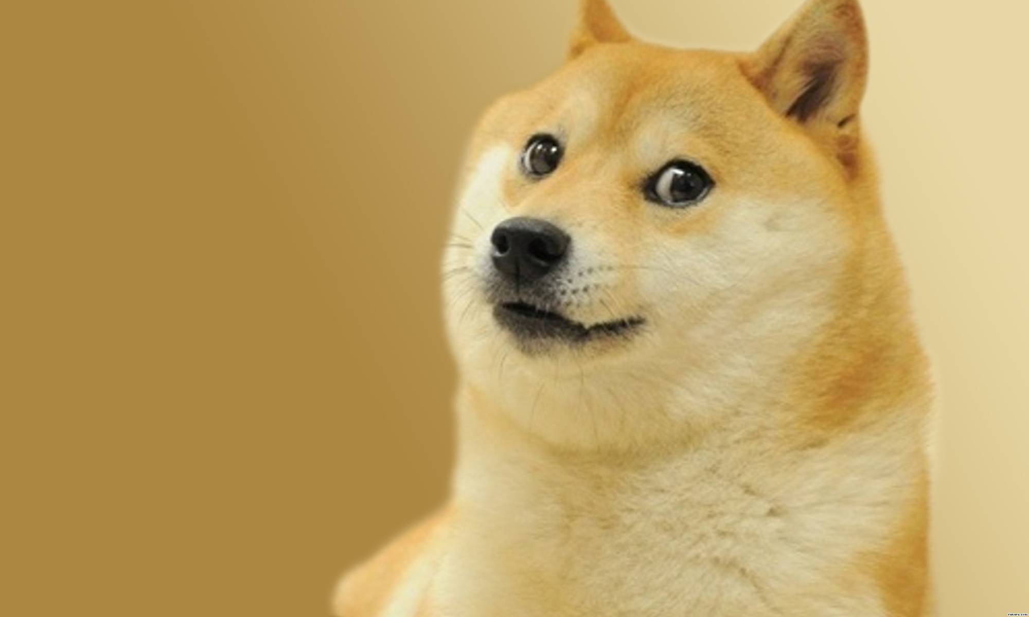 2000x1200 > Doge Wallpapers