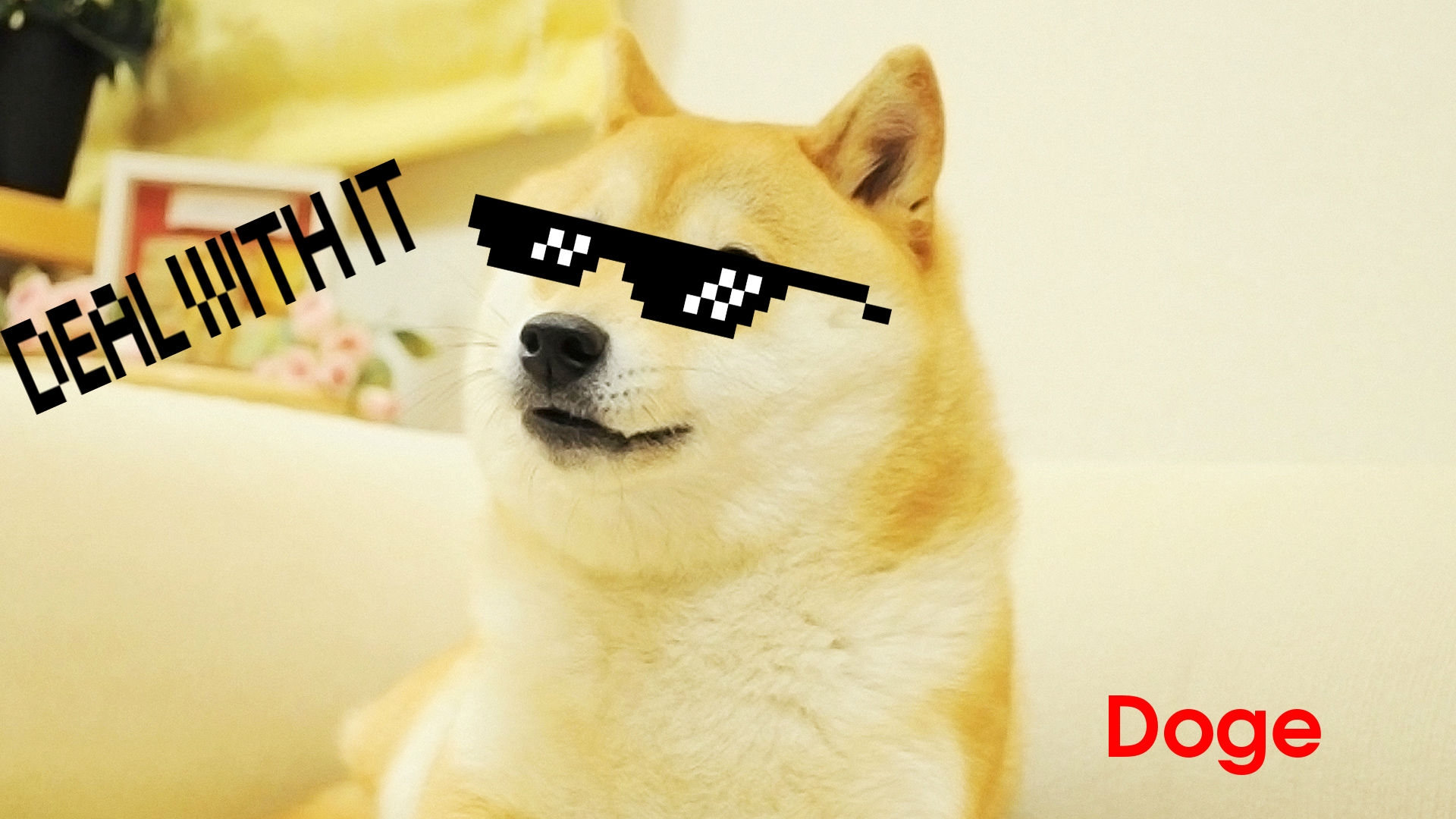 Doge Wallpapers Humor Hq Doge Pictures 4k Wallpapers 2019 - swag doge roblox
