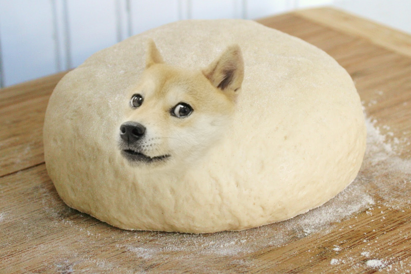 This is doge steam фото 24