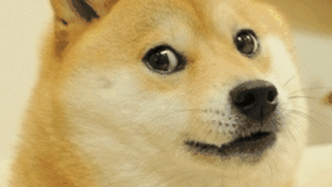 Doge wallpapers, Humor, HQ Doge pictures | 4K Wallpapers 2019