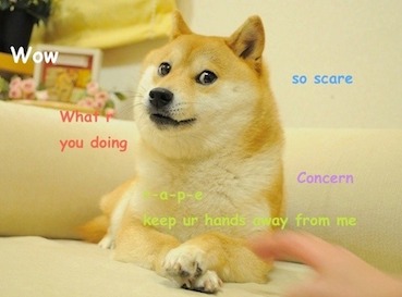 369x273 > Doge Wallpapers