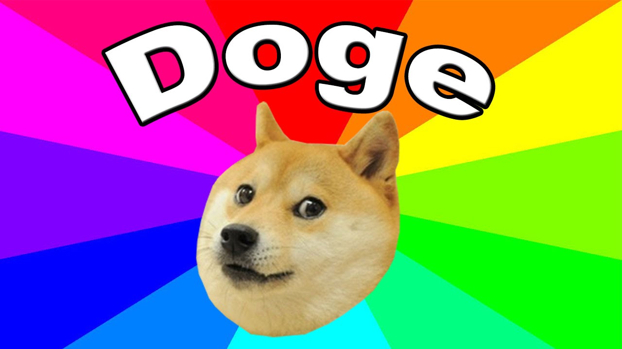HD Quality Wallpaper | Collection: Humor, 1280x720 Doge