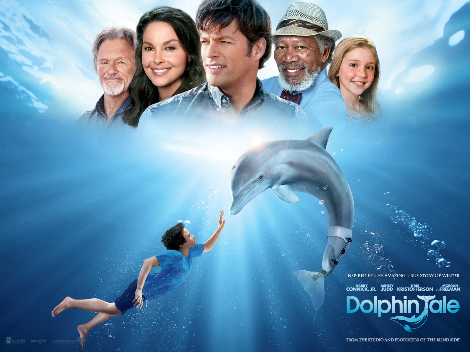 High Resolution Wallpaper | Dolphin Tale 1600x1200 px