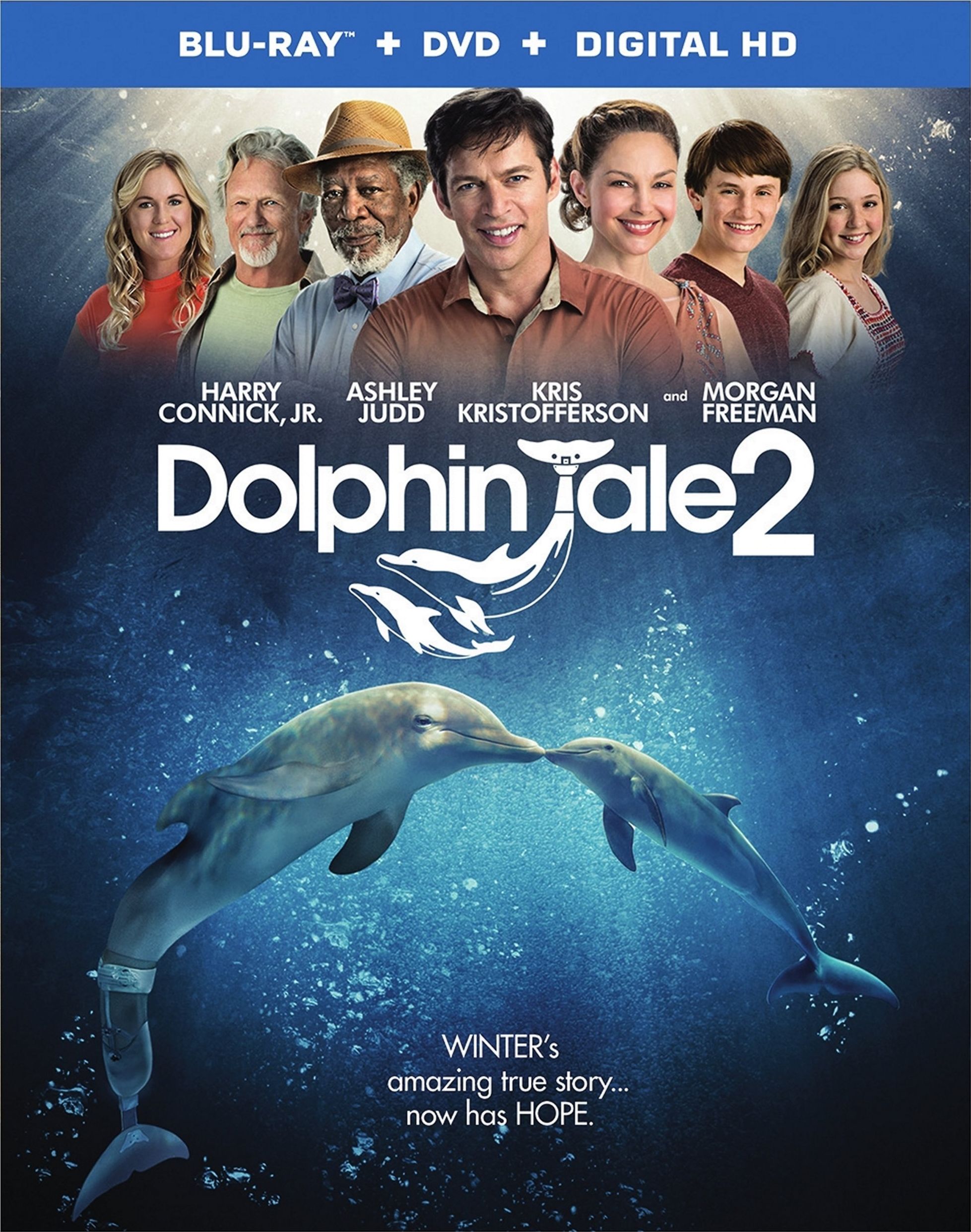 HD Quality Wallpaper | Collection: Movie, 1957x2483 Dolphin Tale 2